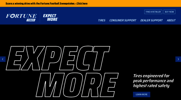fortunetireusa.com
