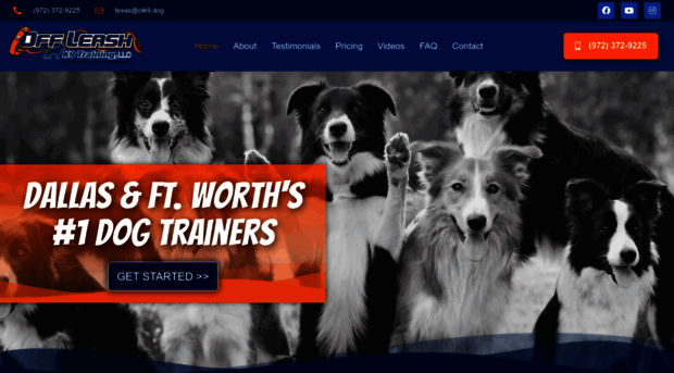 fortworthdogtrainers.com