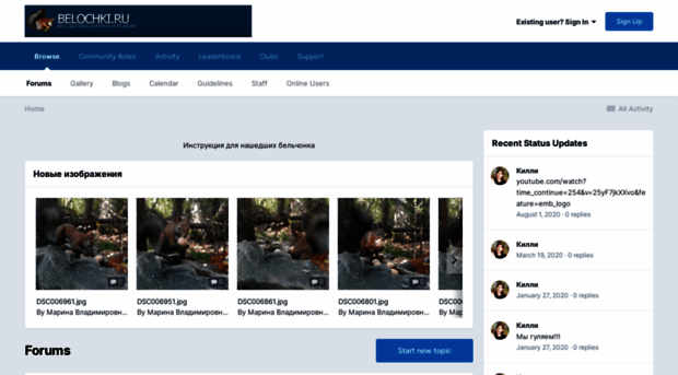 forum.belochki.ru