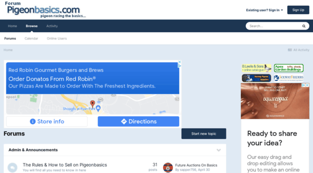 forum.pigeonbasics.com