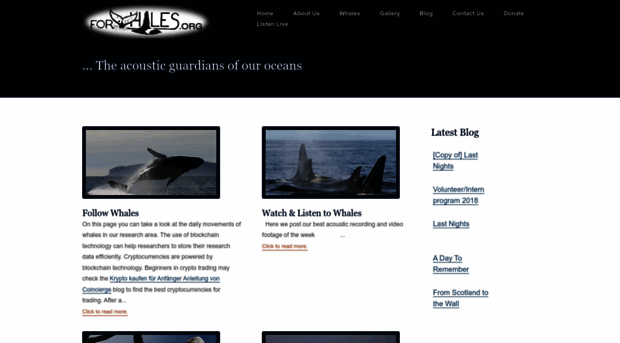 forwhales.org