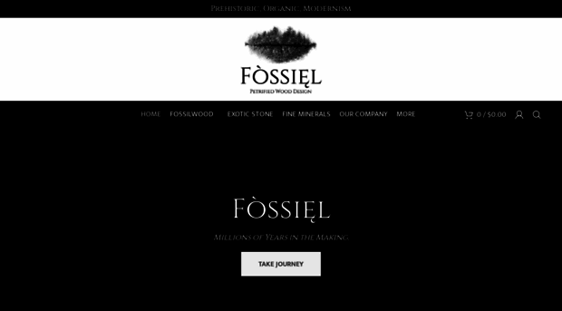 fossielinc.com