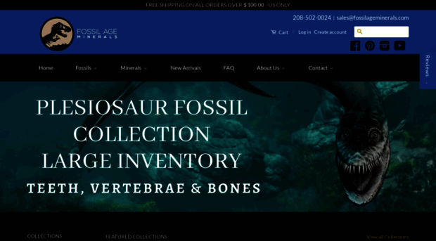 fossilageminerals.com