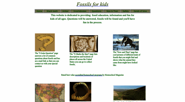 fossilsforkids.com