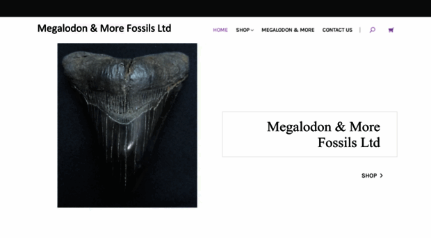 fossilsforsaleuk.co.uk