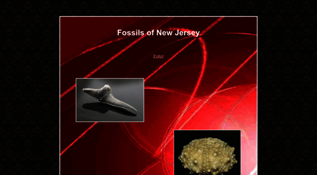 fossilsofnj.com