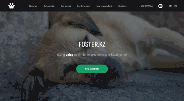 foster.kz