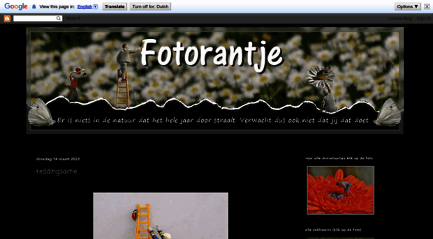 fotorantje.blogspot.nl