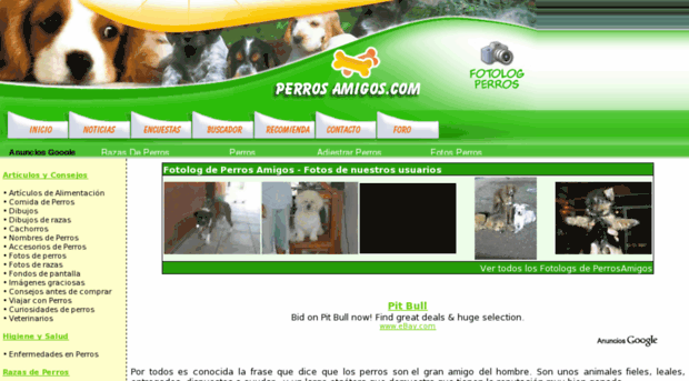 fotos.perrosamigos.com