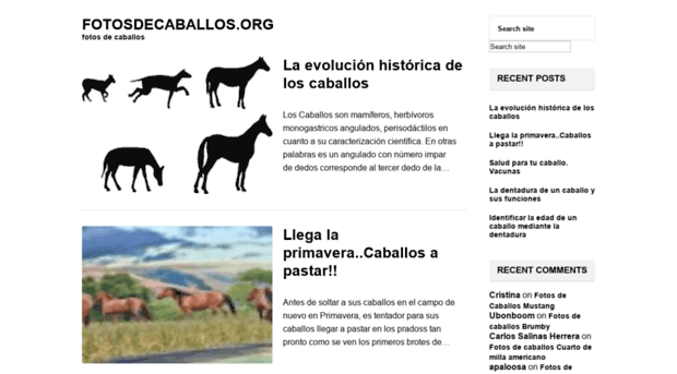 fotosdecaballos.org