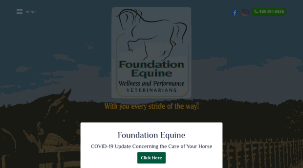 foundationequinenj.com