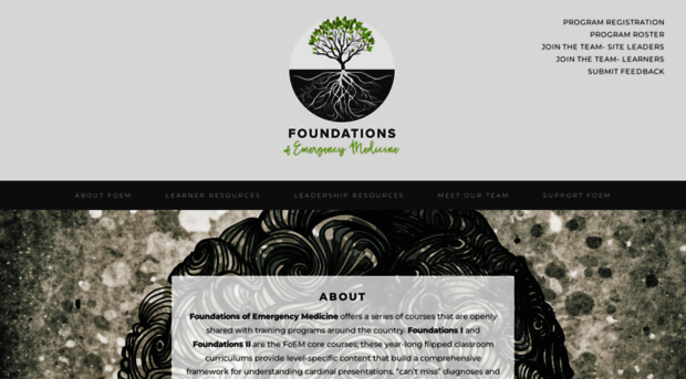 foundationsem.com