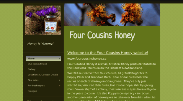 fourcousinshoney.ca