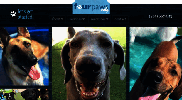 fourpawsonlyfl.com