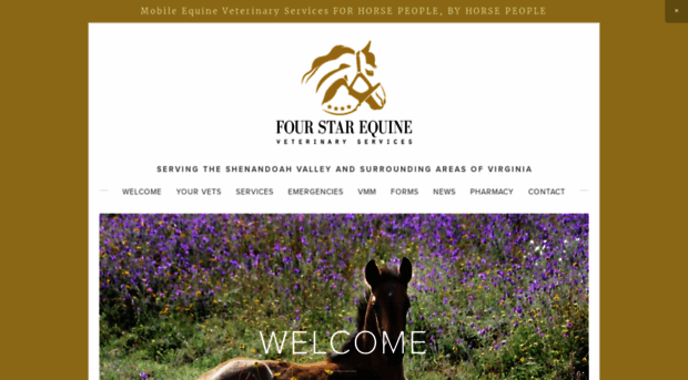 fourstarvet.com