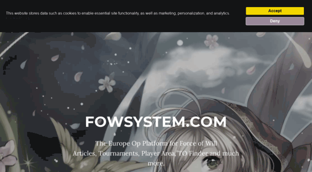 fowsystem.com