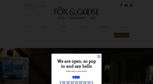 foxandgooseinn.com