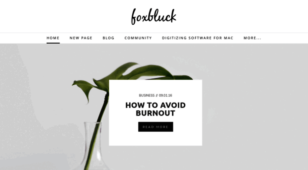 foxbluck.weebly.com