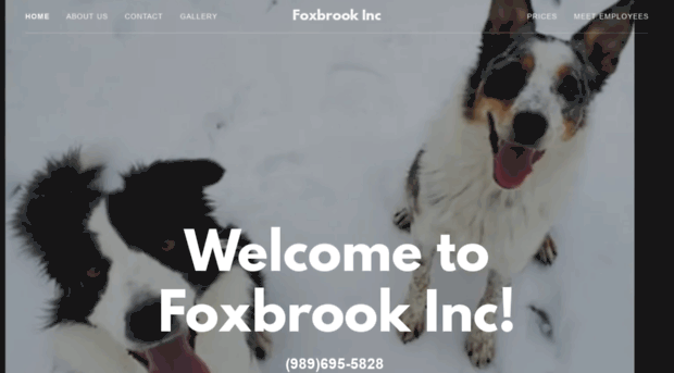 foxbrookkennel.com