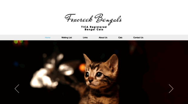 foxcreekbengals.com