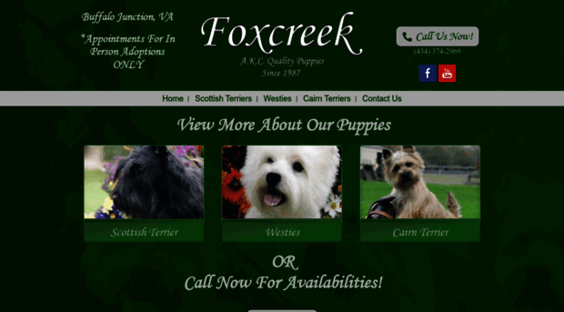 foxcreekkennel.com