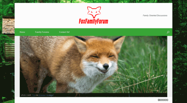 foxfamilyforum.com