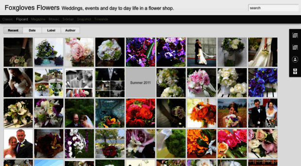 foxglovesflowers.blogspot.com