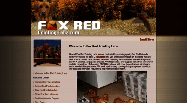 foxredpointinglabs.com