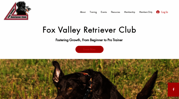 foxvalleyretrieverclub.com