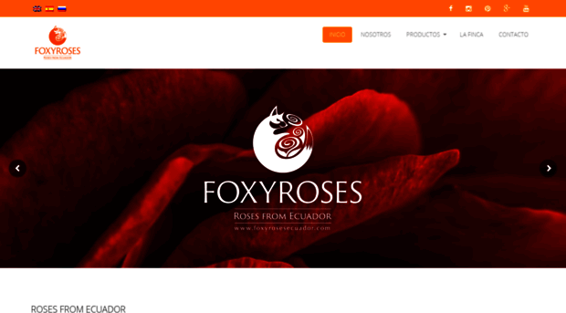 foxyrosesecuador.com