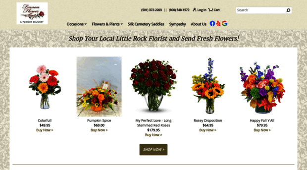 francesflowershop.com