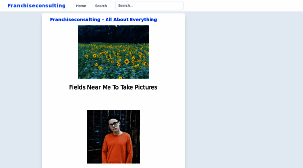 franchiseconsulting.net