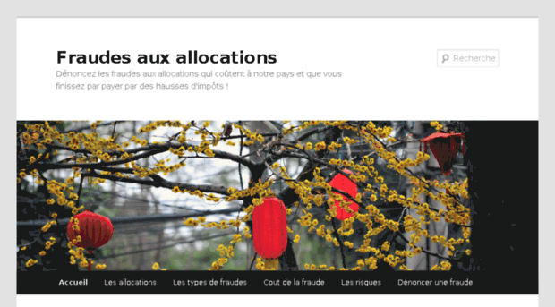 fraude-allocations.fr