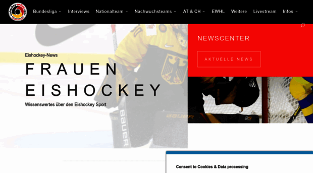 frauen-eishockey.com