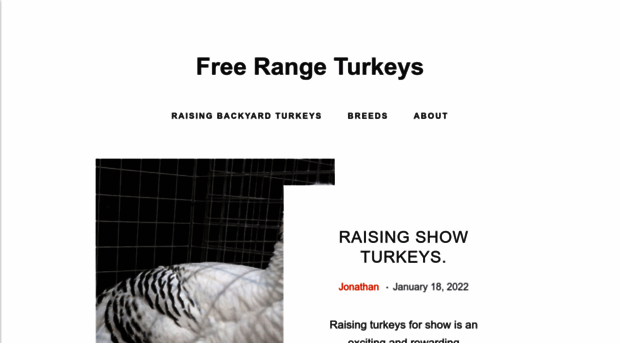 free-range-turkey.com