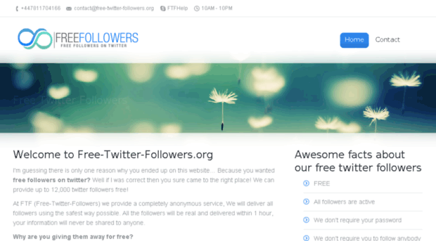 free-twitter-followers.org