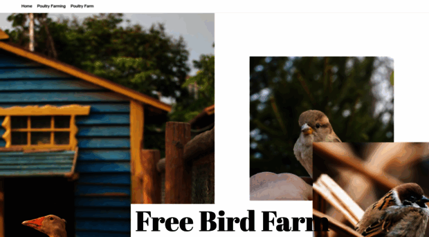 freebirdfarm.org