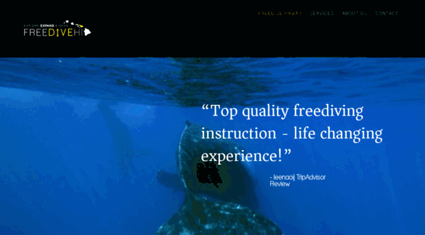 freedivehi.com