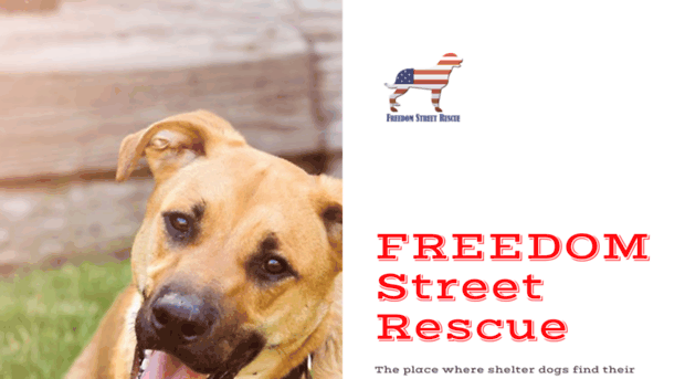 freedomstreetrescue.org