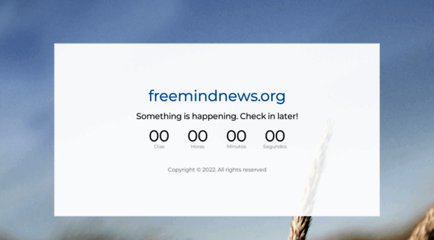 freemindnews.org