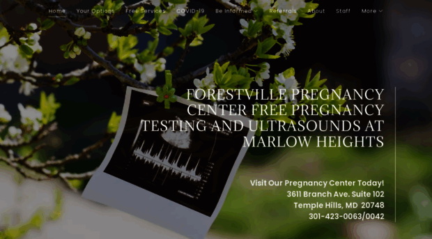 freepregnancytest.org