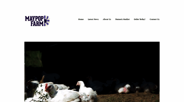 freerangechicken.com