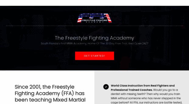 freestylefightingacademy.com