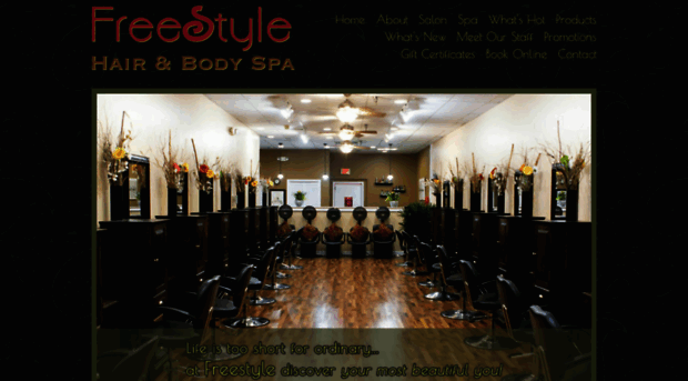 freestylehairandspa.com