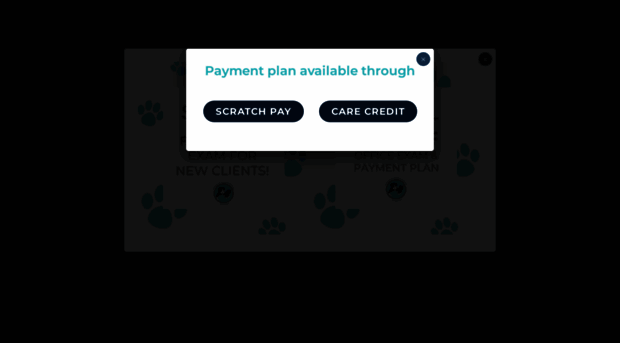 fremontanimalclinic.com