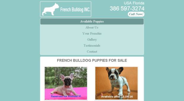 frenchbulldogsale.com