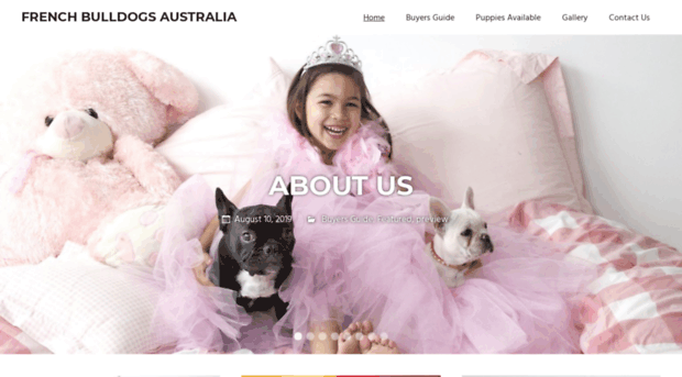 frenchbulldogsaustralia.com.au