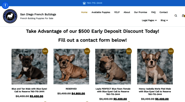 frenchbulldogssandiego.com