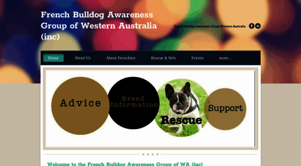 frenchbulldogswa.com.au