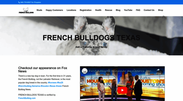 frenchbulldogtexas.com